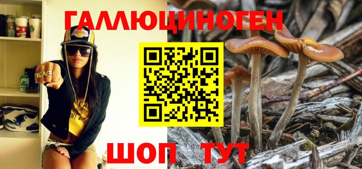 Псилоцибиновые грибы мухоморы Мурино