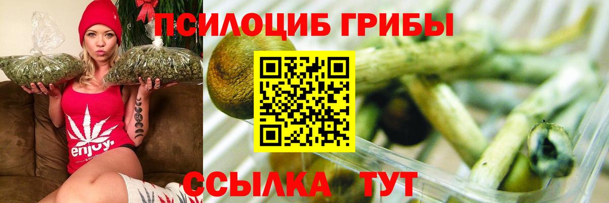 Галлюциногенные грибы прущие грибы  Вход с VPN  Мурино  Псилоцибиновые грибы мицелий 